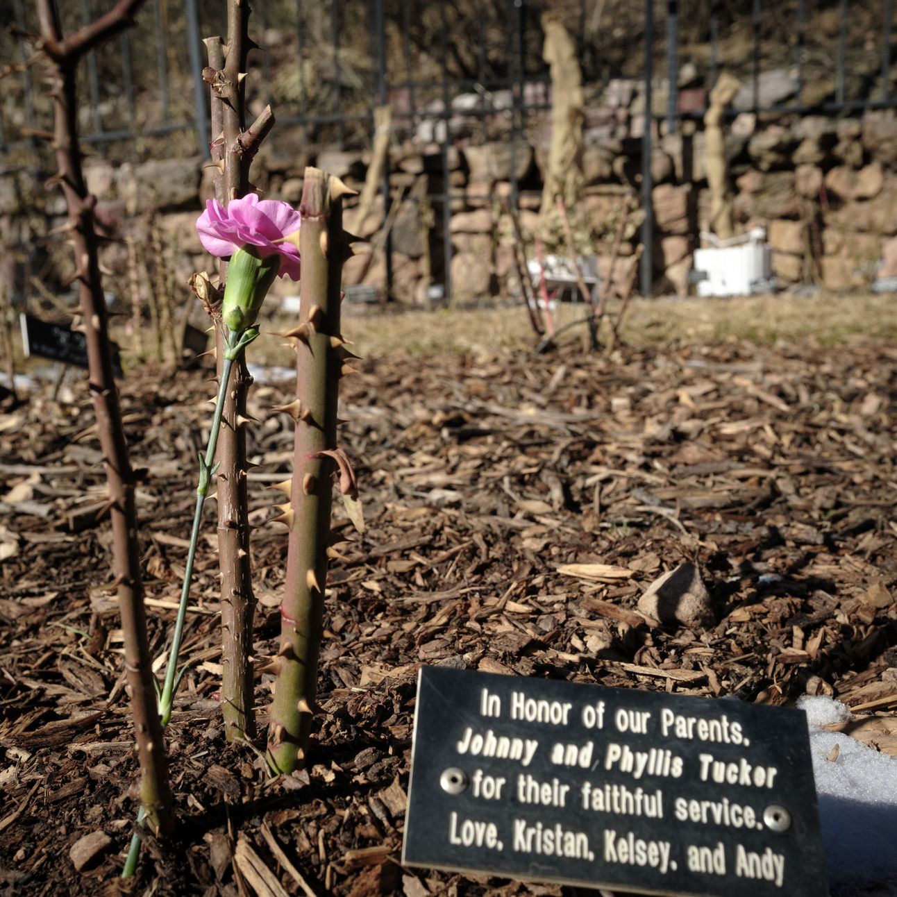 Colorado Springs Last Days